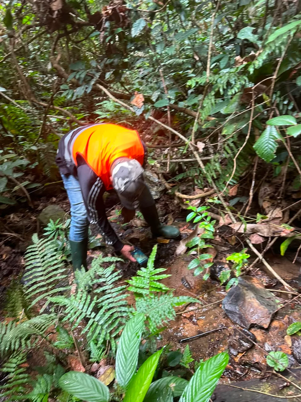 Géologue de MINERALIS observant le lit d'un cours d'eau en forêt.