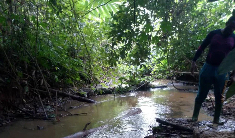 Rivière en forêt sur une zone de reconnaissance.